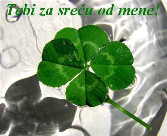 ZASRECU.jpg