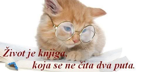 ZIVOTJEKNJIGA.jpg