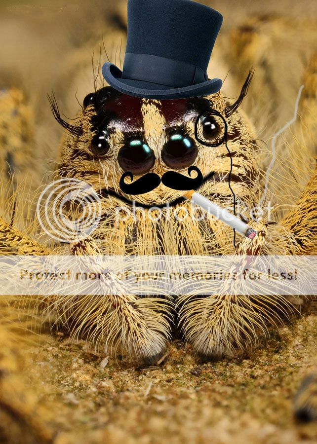 FARK.com: (7221348) Iron Photoshop ingredient: Insects