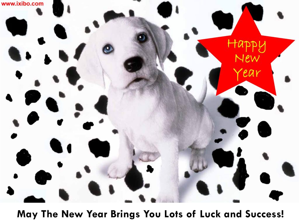 HappyNewYearixibo.jpg